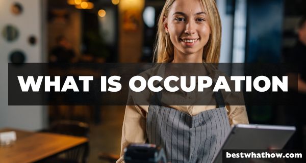 What is Occupation