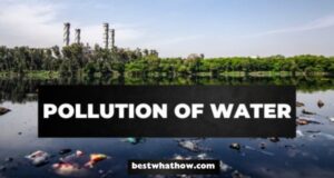 What is Pollution of Water