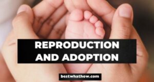 What is called Reproduction and Adoption