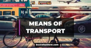 What is Means of Transport