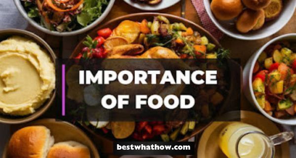 What is the Importance of Food