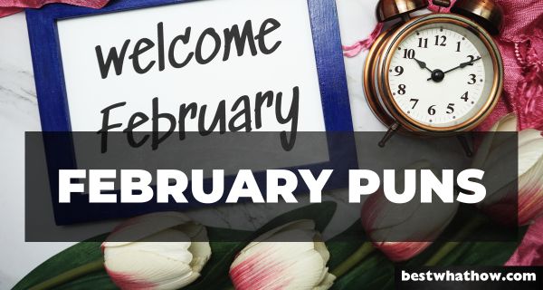 February Puns